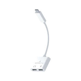 Smartix Premium 2 In 1USB-C Hub - Duolink Pro SMART INFOCOMM FZ-LLC